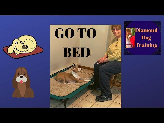 How To Teach A Dog To Go To Bed And Stay With Raised Platform/ Easier For Dog To Remain in Stay