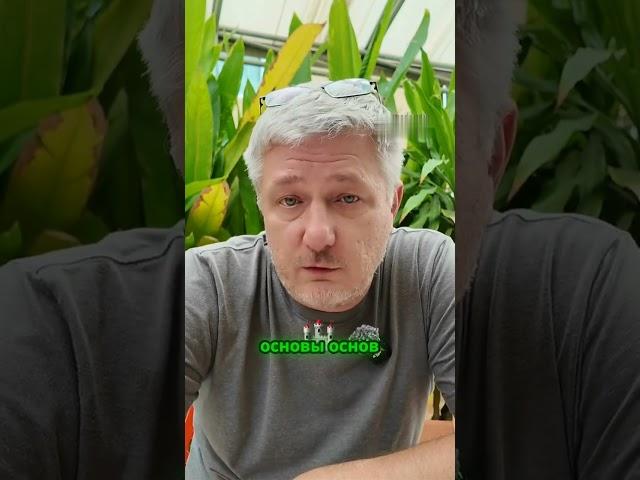 Почему государства не любят крипту