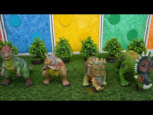 Amazing Dino Transformation | Baby Dinos Turn into Mysterious Creatures