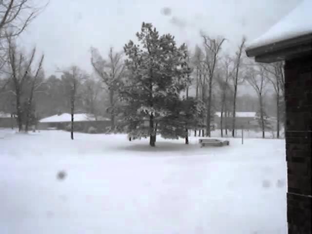 Lakeview, AR - Blizzard 2-9-11