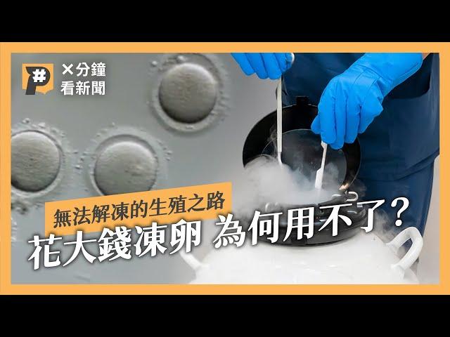 我的卵子誰做主？花大錢凍卵 為何用不了？｜公視P# 新聞實驗室