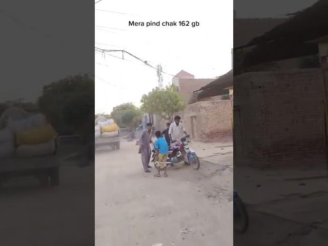 Pakistan Punjab  Gojra-pind chak 162 gb