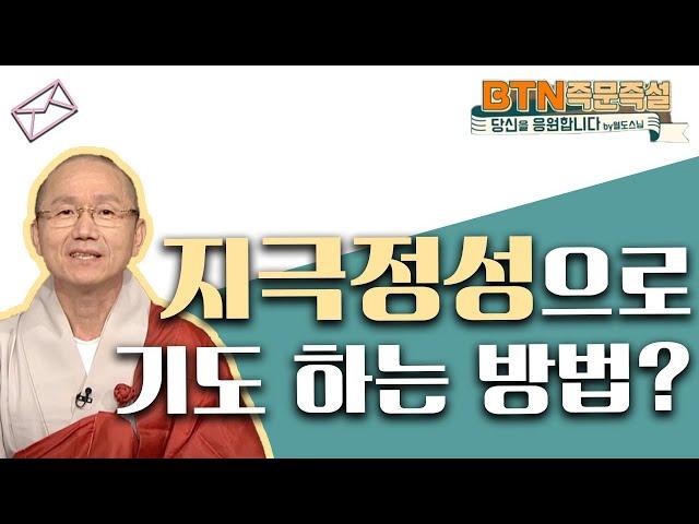 지극정성으로 기도 하는 방법 [BTN아카이브]