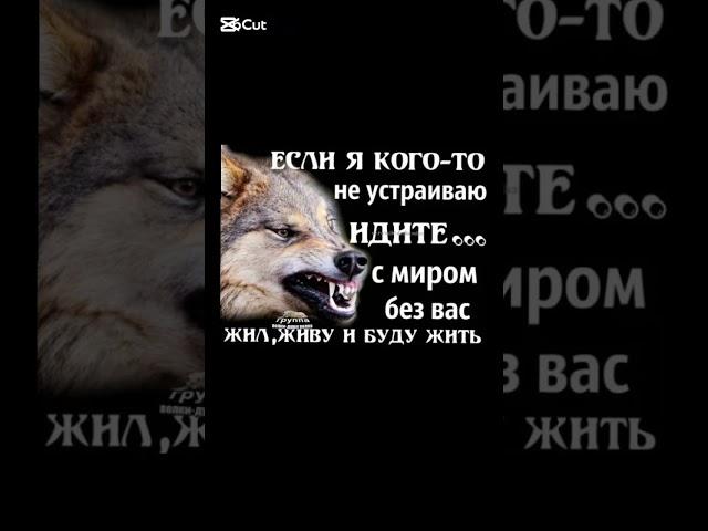 #психология #отношения #любовь #дружба #психолог #счастье #психологияженщины #психологиямужчины