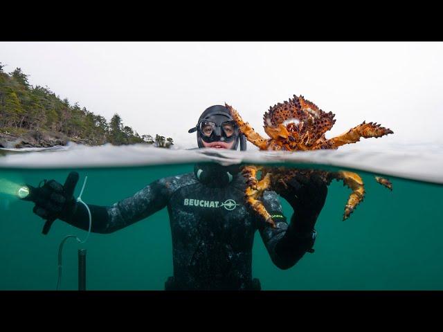 THE CRAZIEST UNDERWATER EXPERIENCE: Puget Sound King Crab Hunt on Paddleboards