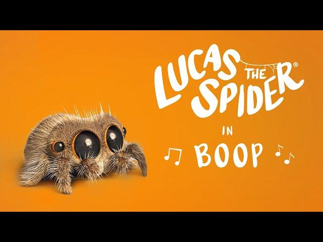 Lucas the Spider - Boop! - Short