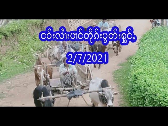 ငဝ်းလၢႆးပၢင်တိုၵ်းပွတ်းႁွင်ႇ - 2/7/2021