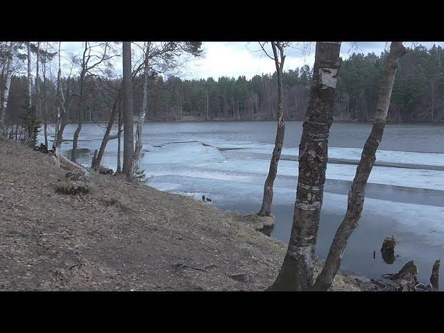 "Летняя Зима" (Сергей Рогожин)