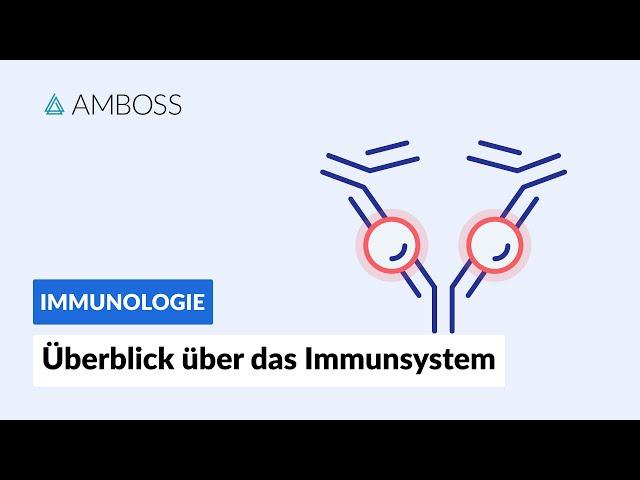 Überblick über das unspezifische und spezifische Immunsystem -- Immunologie -- AMBOSS Video