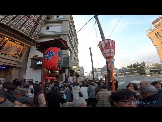 Caught Up In A Sea Of Old Japanese - Full Video