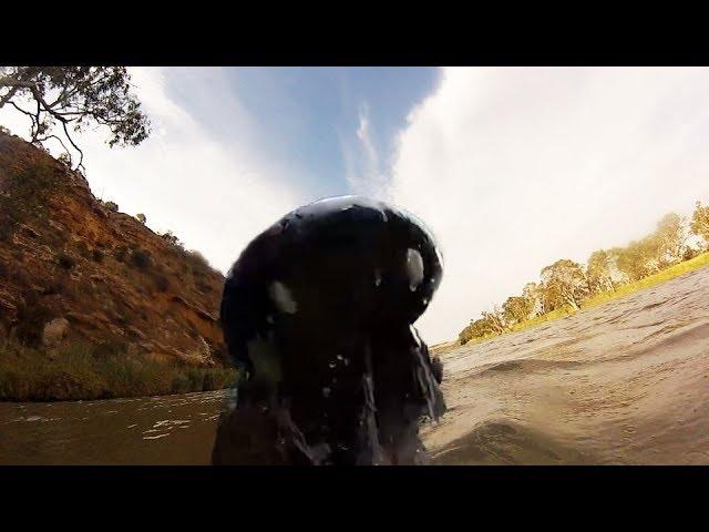 Why you don't go swimming in Australia (Crocodile Attack)