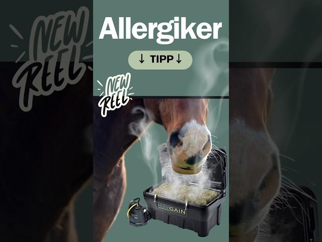 Allergikerpferd - Die beste Lösung #pferdehusten #allergies #heu #heuallergie #heubedampfen #diy