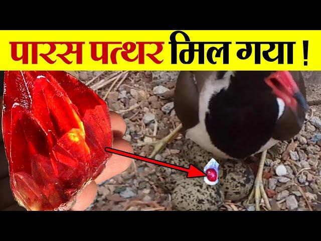 आज भी मौजूद है ऐसा पत्थर जो लोहे को सोने मे बदल देता है? | Full Mystery Of Paras Stone