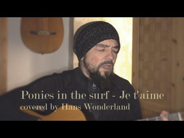 Ponies in the surf - Je t'aime covered by Hans Wonderland