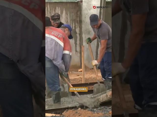 На зарплату в три тысячи рублей на ферму в Речицком районе устроили четырех узбеков