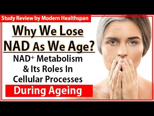 Why We Loose NAD As We Age | NAD+ metabolism in cellular processes during ageing | Study Review