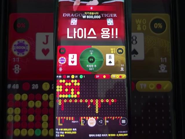 용호 그림장은 이렇게 보기 #바카라 #용호