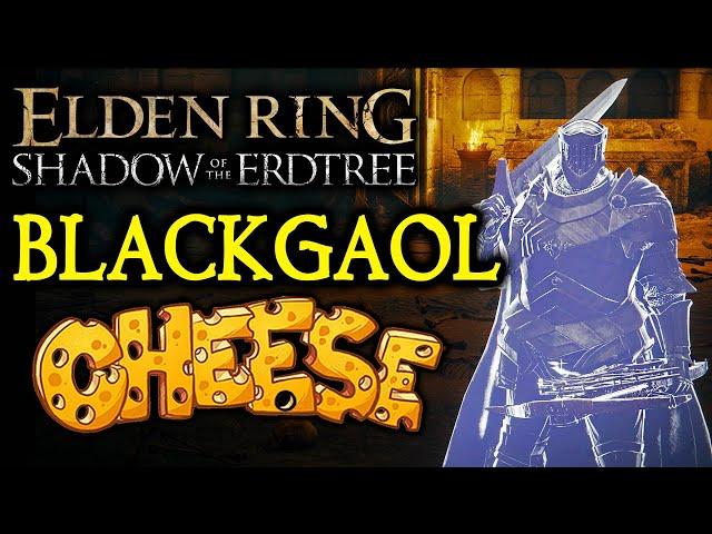ELDEN RING DLC BOSS GUIDES: How To Cheese Blackgaol Knight!