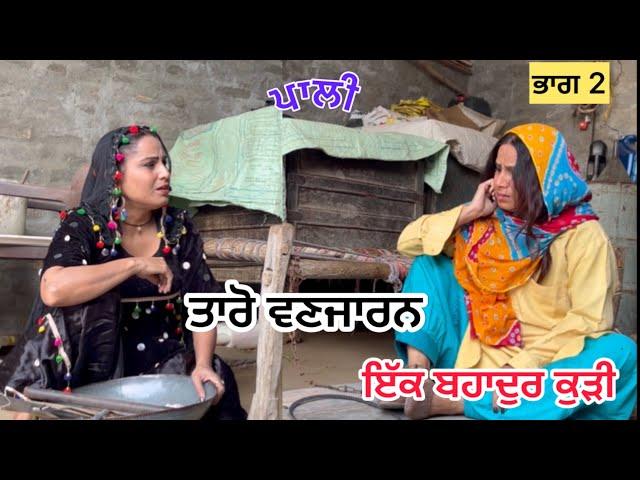 Taro vanjaran ( pali pagal kudi ) ਤਾਰੋ ਵਣਜਾਰਨ ਨੇ ਕਿਵੇ ਬਚਾਇਆ ਪਾਲੀ ਨੂੰ) 2024 new video