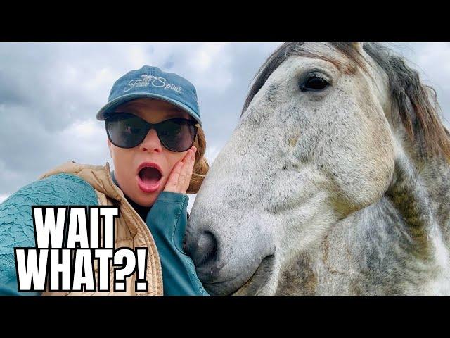 We Found Something Out About Belle…