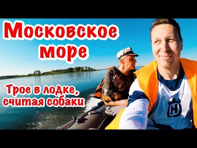 МОТОРЕПОРТАЖ с Иваньковского водохранилища. Поездка на мотоцикле Suzuki Volty к подписчику в Дубну.