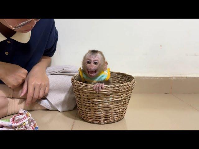 Max In Vine Basket Anqrily Mom Not Take Him To Hug