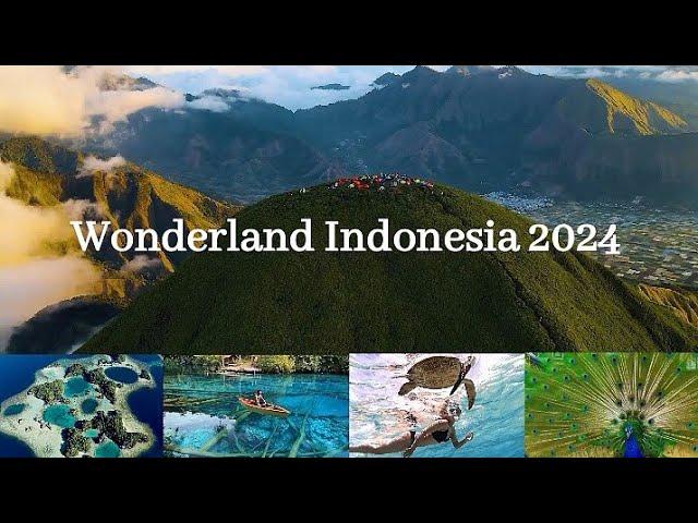 Wonderland Indonesia 2024