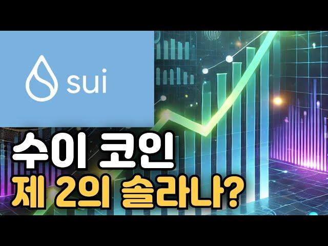 수이 코인 이건 알고 사야한다. Feat. Sui 코인, 비트코인