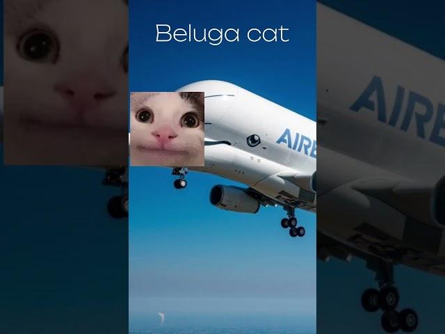 I’m a Airbus Beluga  #a330 #airbusbeluga #airplane #airport