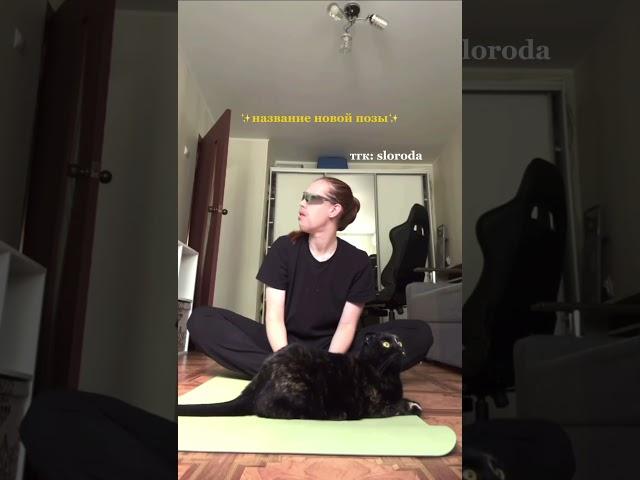 Каждый раз с таким лицом‍️ #йога #йогадома #йогадляначинающих #йогаюмор #растяжка #асана #асаны