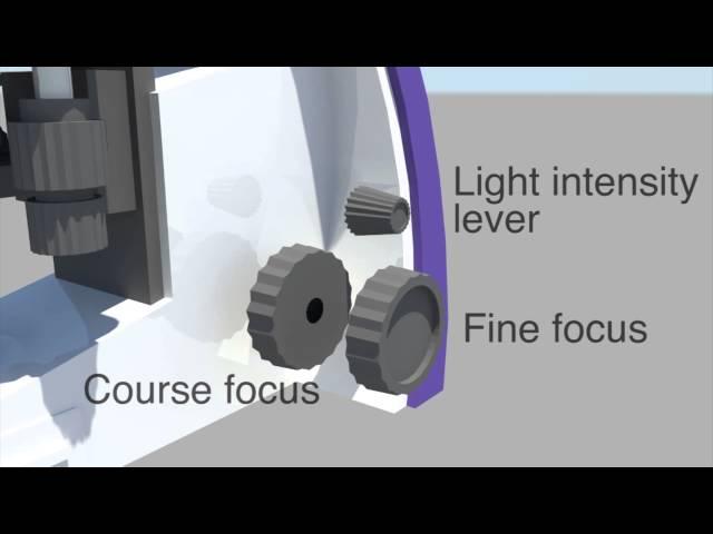 Primo Star Microscope HD (exploded view)