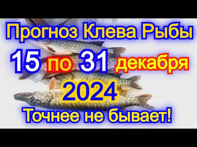 Календарь клева рыбы с 15 по 31 декабря 2024 Прогноз клева рыбы Лунный Календарь рыбака 2024!