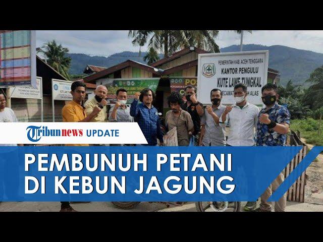 Pelaku Pembunuhan di Kebun Jagung Aceh Tenggara Ditangkap, Sempat Sembunyi di Pegunungan