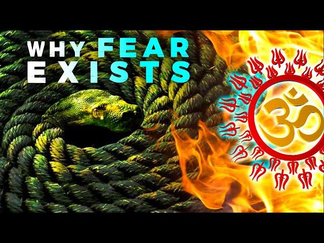 Why You Live in Fear (The Rope and Snake Analogy)