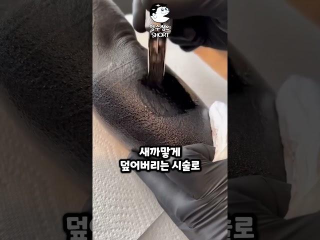 팔전체가 새까만 이유
