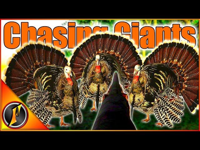 Chasing Giant Gobblers in the Most Realistic Turkey Hunting Game! | The Season