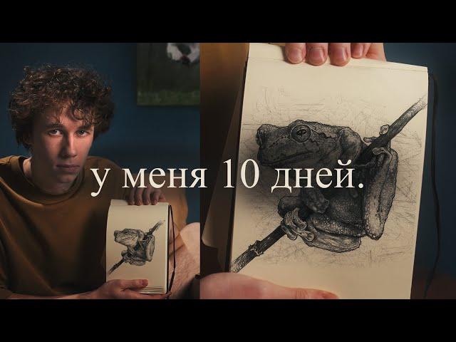 УЧИТЬСЯ РИСОВАТЬ – ЭТО ДОЛГО, ДА?