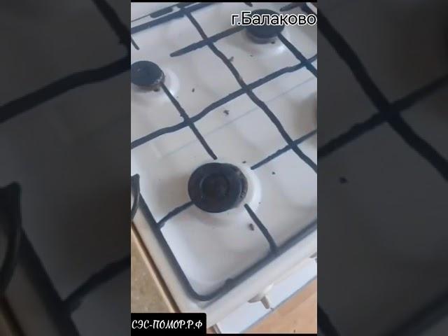 СЭС-ПОМОР.РФ