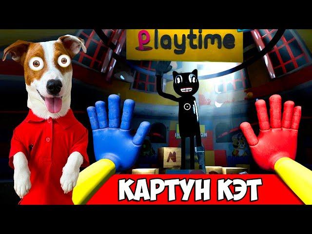 ХАГГИ ВАГГИ это КАРТУН КЭТ Мод Poppy Playtime