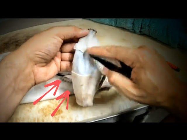 HOW TO REMOVE EAR CARTILAGE ***SUPER EASY*** WHITETAIL TAXIDERMY!