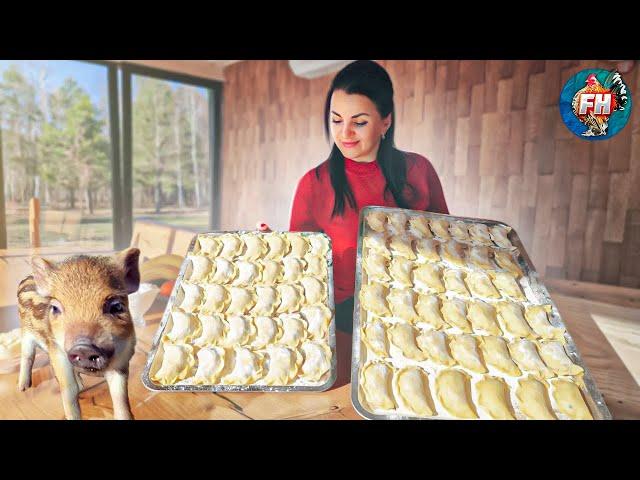 Life in the forest  Cooking dumplings with blueberries  Pets roam free