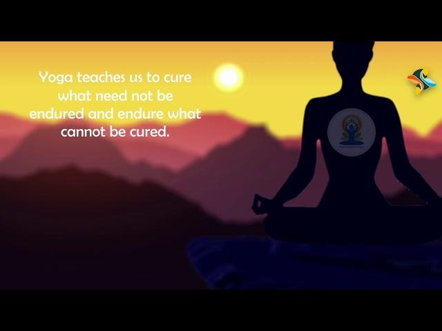 Seagull Celebrating International Yoga Day | Digi Nurture Videos