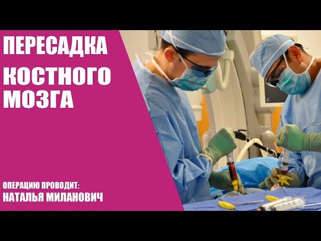 Трансплантация костного мозга/Операция