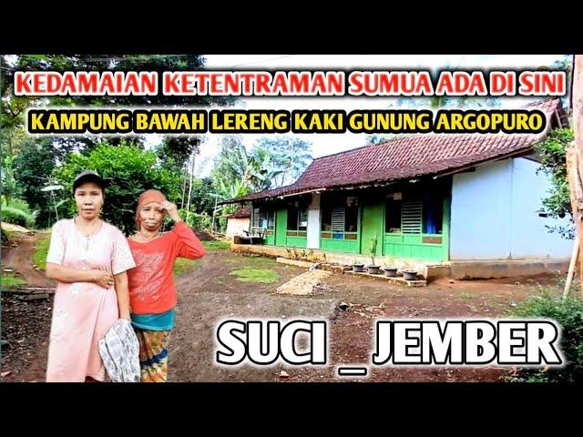 IDAMAN BANGET ‼️ KAMPUNG DI BAWAH LERENG GUNUNG ARGOPURO, MENIKMATI KEINDAHAN DESA SUCI