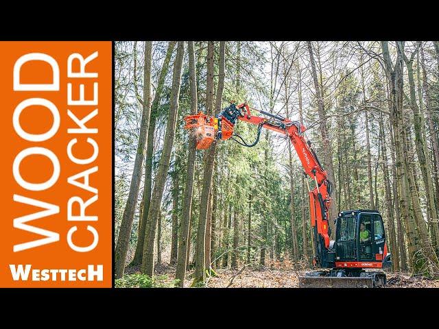 Kraftpaket in Aktion: Die neue Greifersäge Woodcracker® CS545 compact am Kompaktbagger