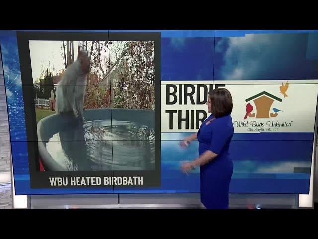 Birdie Thirty: Eyewitness News at 9:30am on 11-23-2024