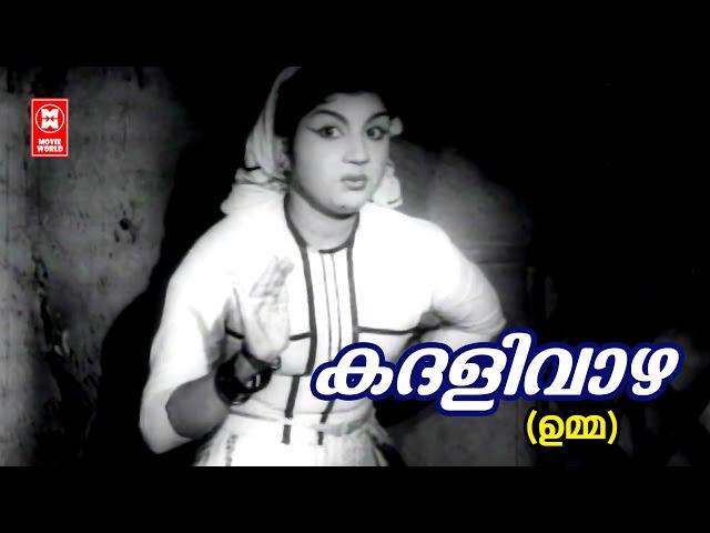 Kadhalivazha Kayyilirunnu | Umma | P Bhaskaran | MS Baburaj | Jikki | Evergreen Old Hits