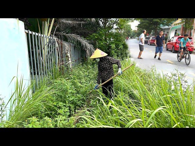 People are surprised that the beautiful neighborhood no longer has weeds and trash on the sidewalks