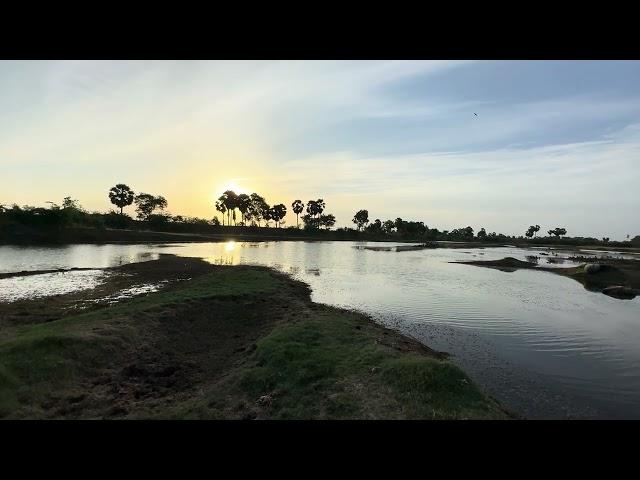 Lake view sun set #nature #lake  #sunset #water #beautiful #shotoniphone