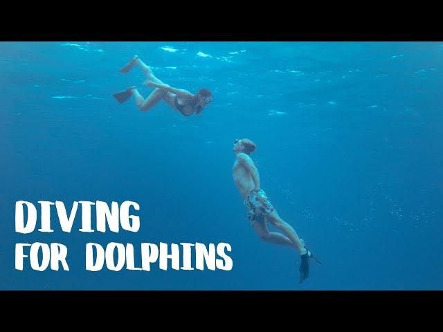Under and Over Oahu - Hawaii Travel Vlog